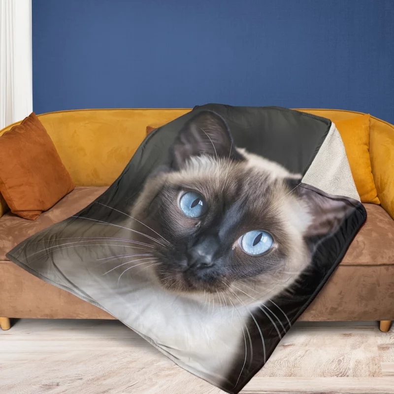 Siamese Cat AI Generation Fleece Blanket 1