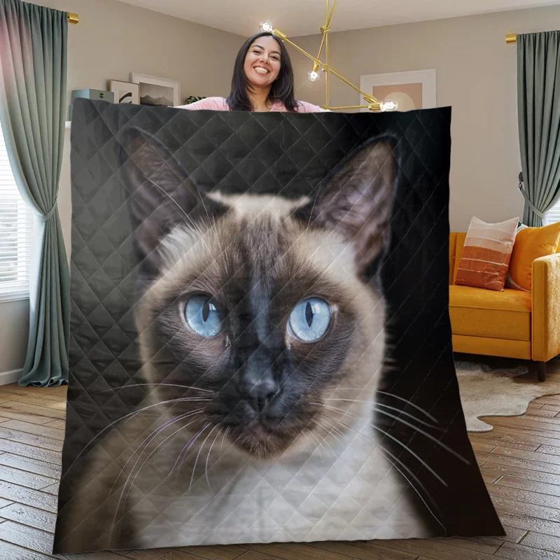 Siamese Cat AI Generation Quilt Blanket