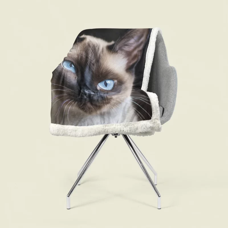 Siamese Cat AI Generation Sherpa Fleece Blanket 1