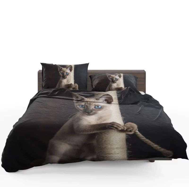 Siamese Kitten Scratching Post Bedding Set 1