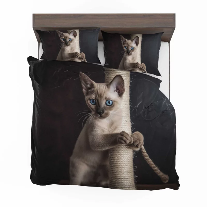 Siamese Kitten Scratching Post Bedding Set 2