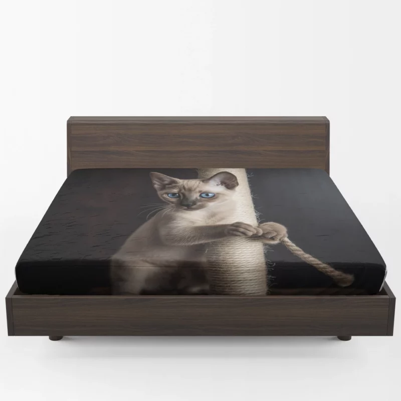 Siamese Kitten Scratching Post Fitted Sheet 1