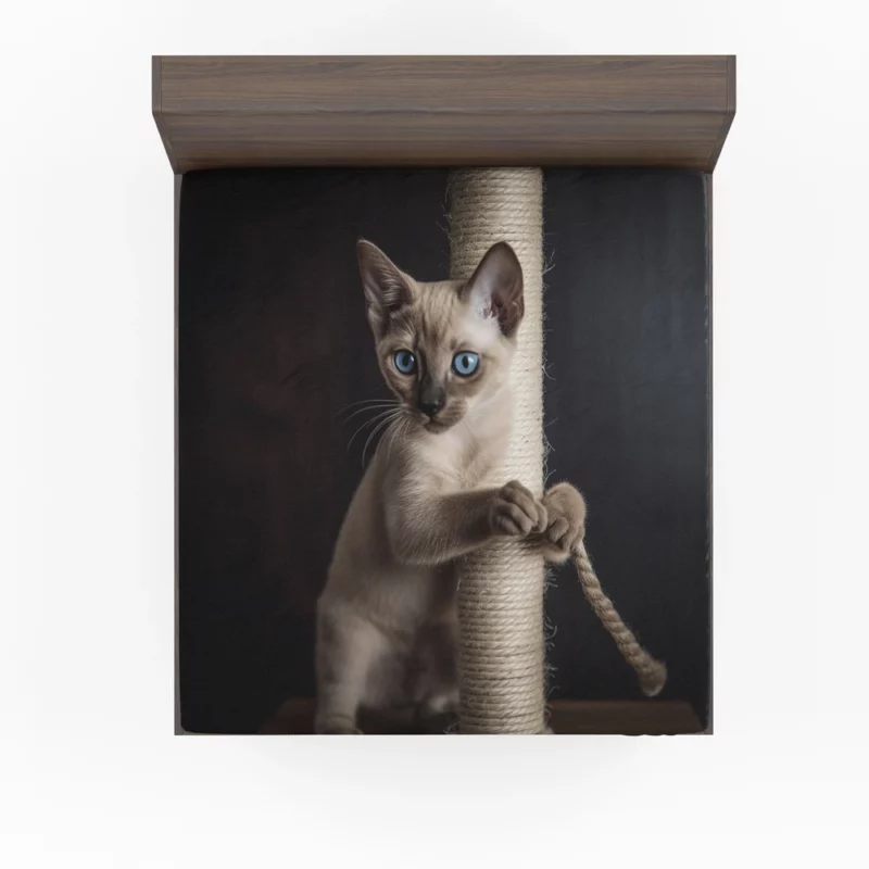 Siamese Kitten Scratching Post Fitted Sheet