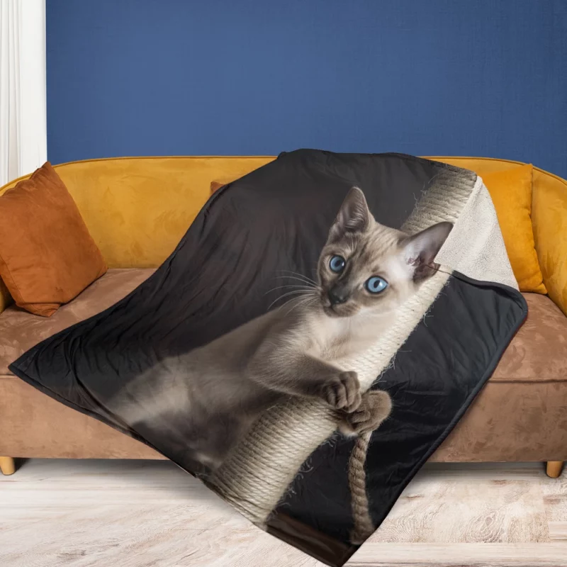 Siamese Kitten Scratching Post Fleece Blanket 1