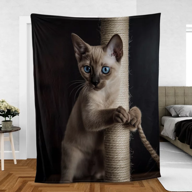 Siamese Kitten Scratching Post Fleece Blanket