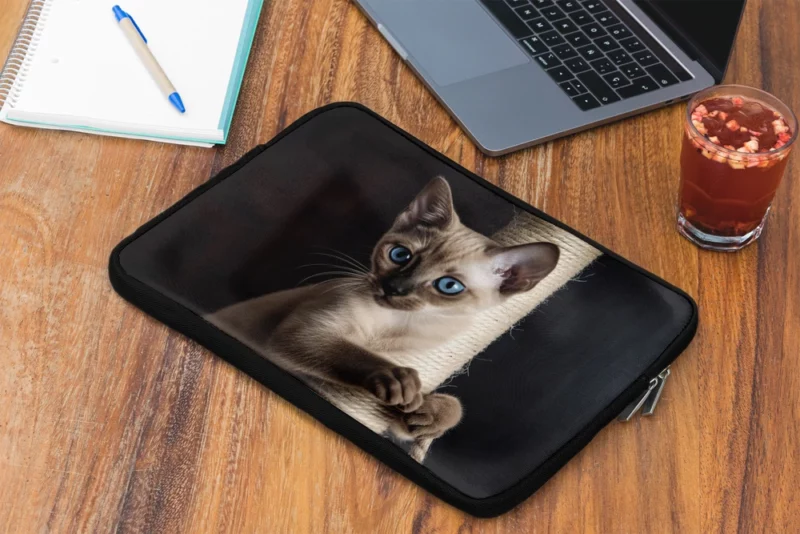 Siamese Kitten Scratching Post Laptop Sleeve 2