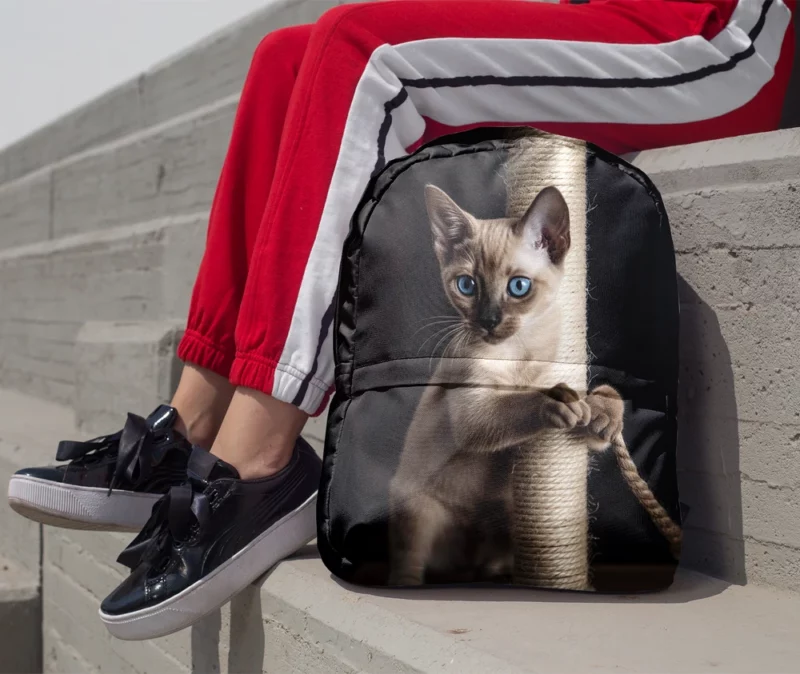 Siamese Kitten Scratching Post Minimalist Backpack 1