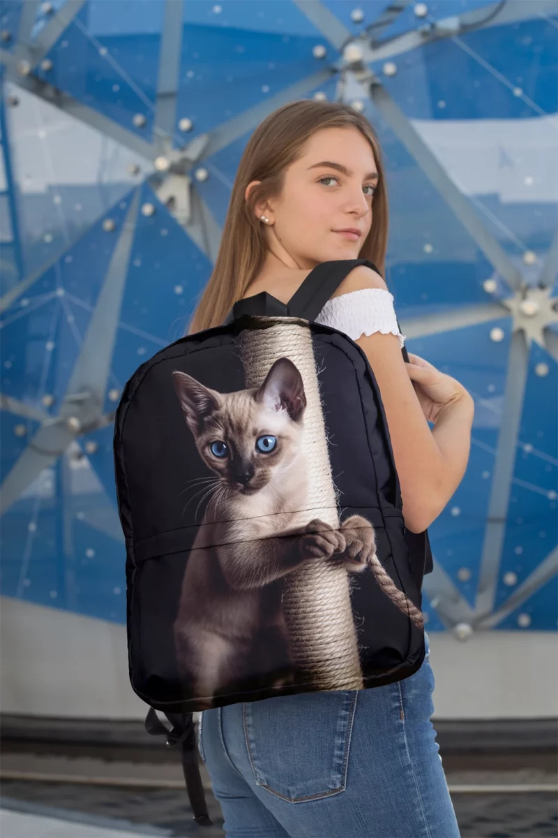 Siamese Kitten Scratching Post Minimalist Backpack 2