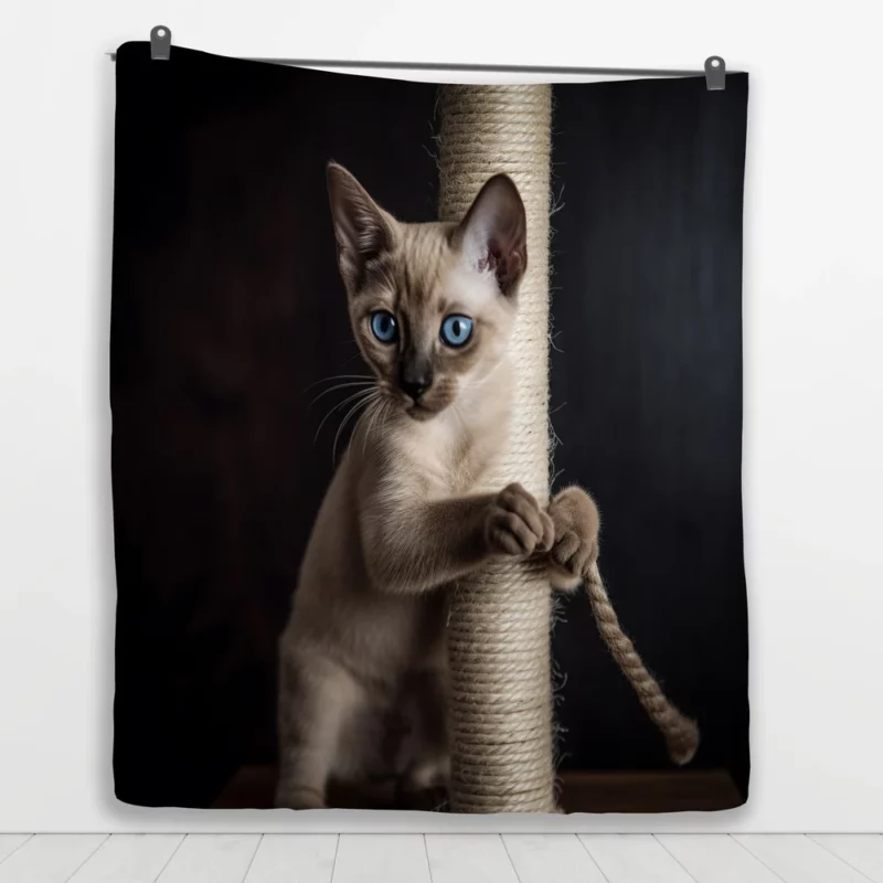 Siamese Kitten Scratching Post Quilt Blanket 1