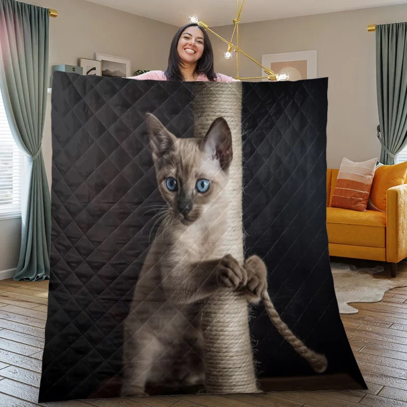 Siamese Kitten Scratching Post Quilt Blanket