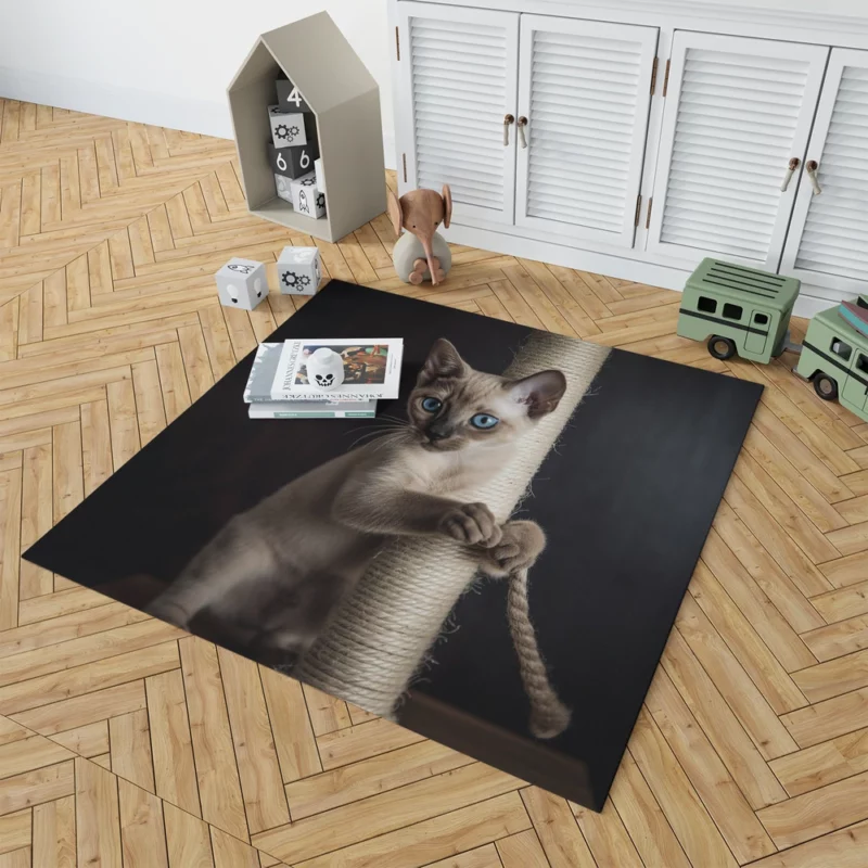 Siamese Kitten Scratching Post Rug 1