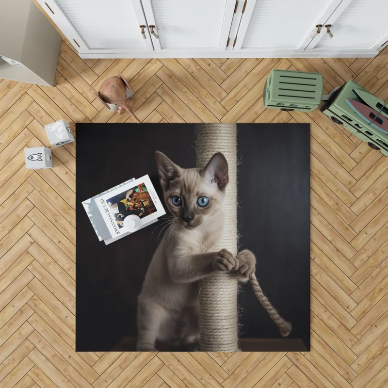 Siamese Kitten Scratching Post Rug