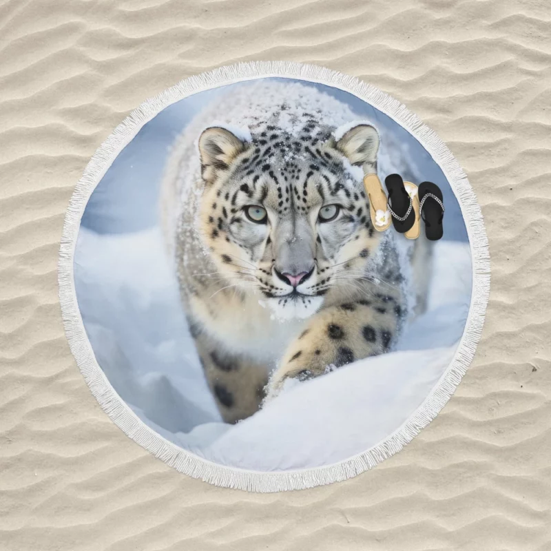 Snow Leopard Prowling in the Snowstorm Round Beach Towel