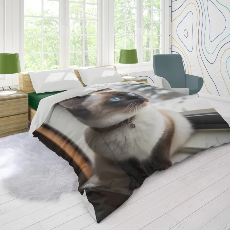 Snowshoe Cat on Windowsill Duvet Cover