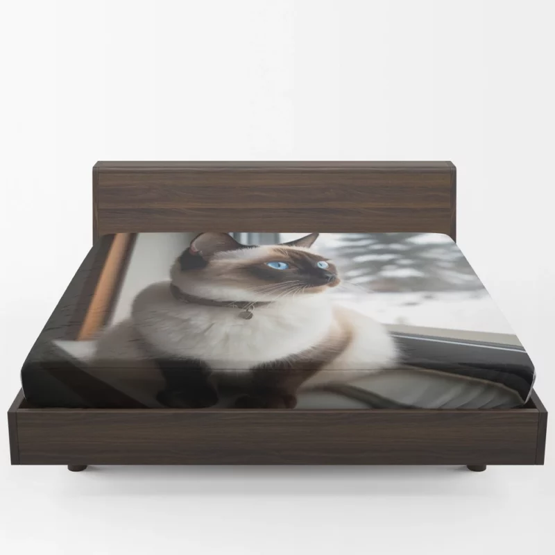 Snowshoe Cat on Windowsill Fitted Sheet 1