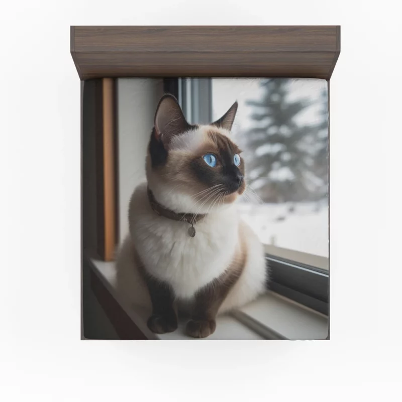 Snowshoe Cat on Windowsill Fitted Sheet