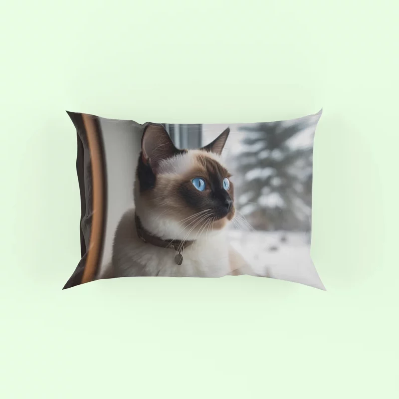 Snowshoe Cat on Windowsill Pillow Case