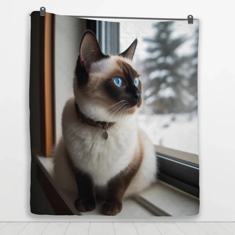 Snowshoe Cat on Windowsill Quilt Blanket 1