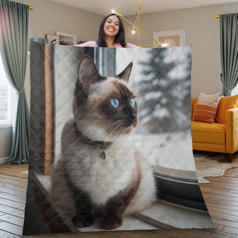 Snowshoe Cat on Windowsill Quilt Blanket