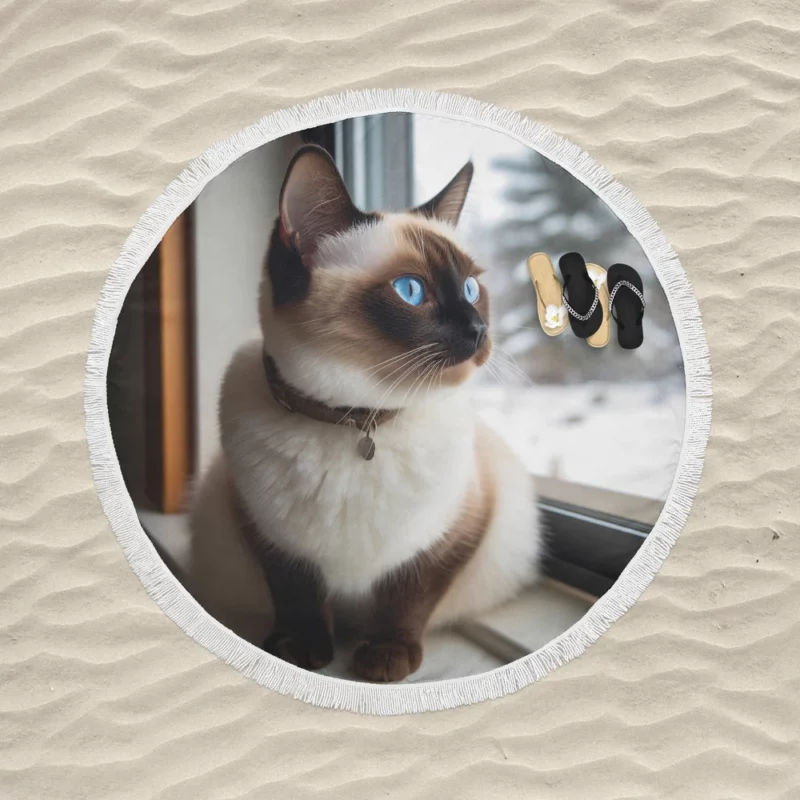 Snowshoe Cat on Windowsill Round Beach Towel