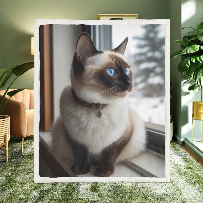 Snowshoe Cat on Windowsill Sherpa Fleece Blanket