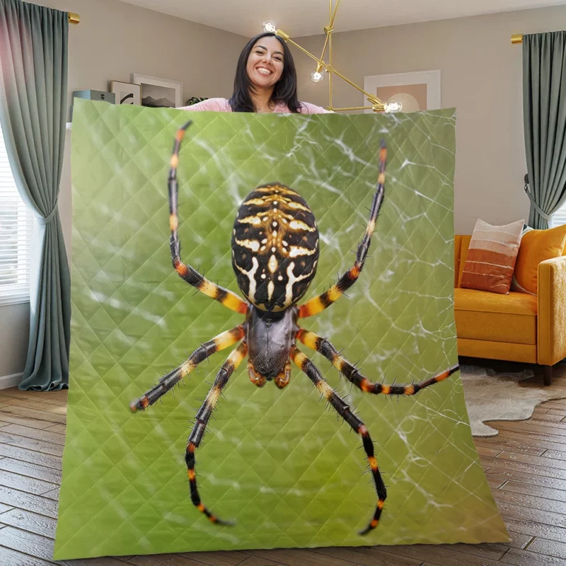 Spider in Web Portrait Quilt Blanket