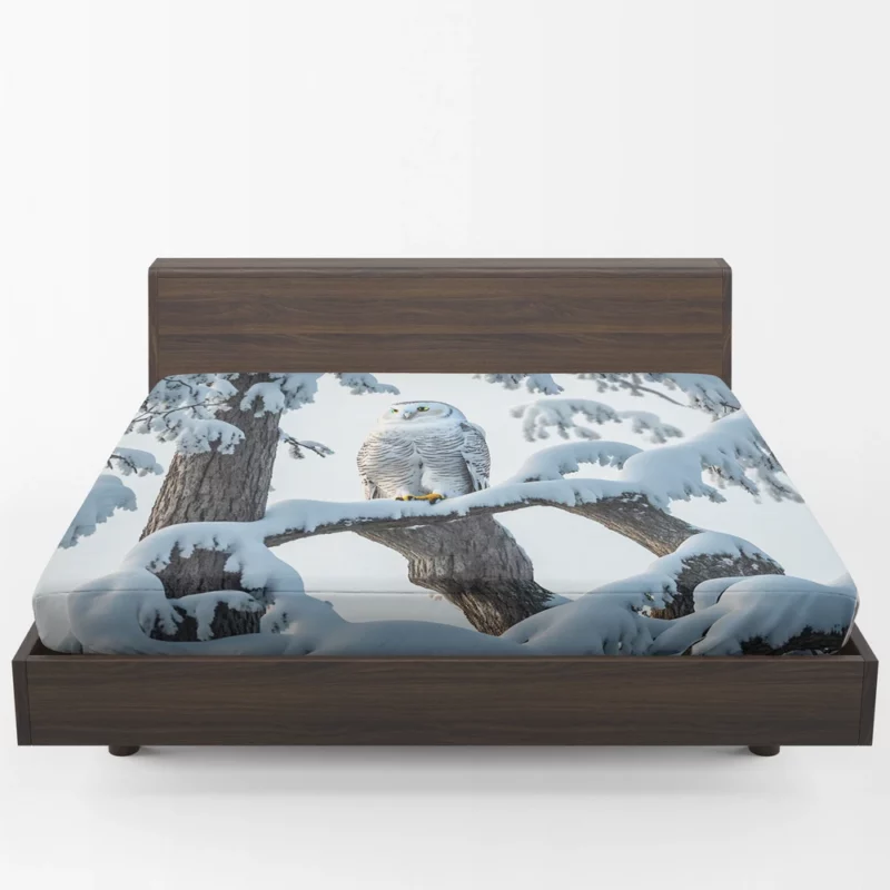 Stealthy Snowy Owl on Branch Fitted Sheet 1