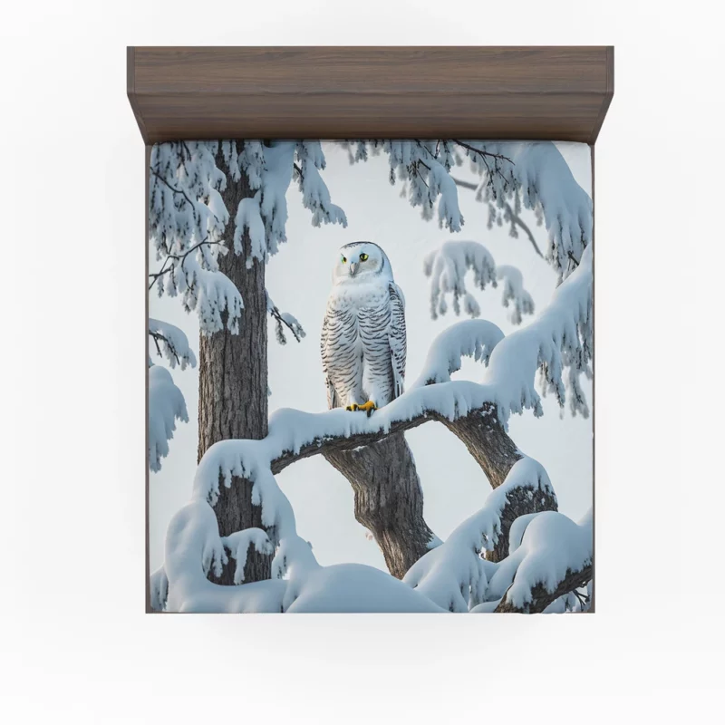 Stealthy Snowy Owl on Branch Fitted Sheet