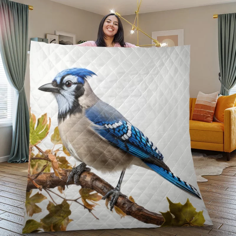 Stunning Blue Jay Photo Quilt Blanket