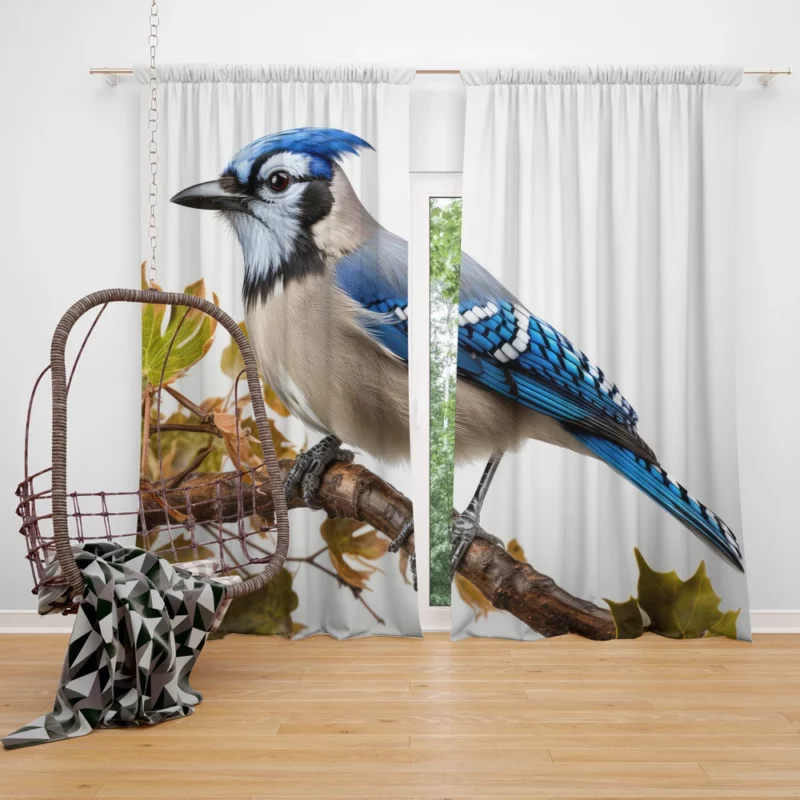 Stunning Blue Jay Photo Window Curtain