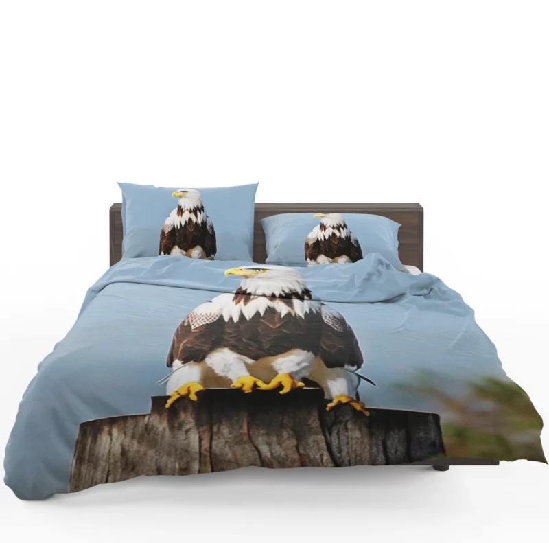 Stylish Eagle With Glasses Bedding Set 1