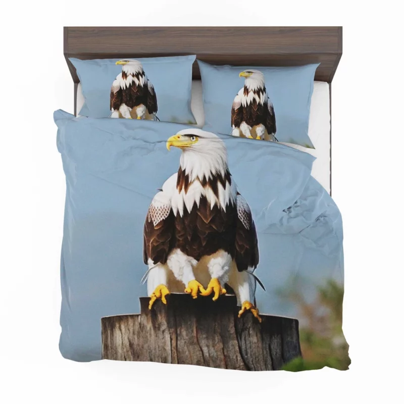 Stylish Eagle With Glasses Bedding Set 2