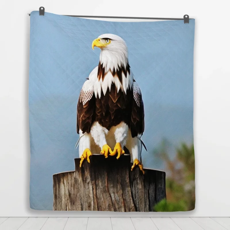 Stylish Eagle With Glasses Quilt Blanket 1