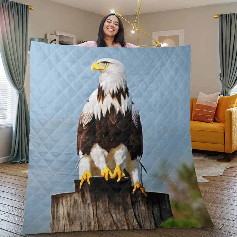 Stylish Eagle With Glasses Quilt Blanket