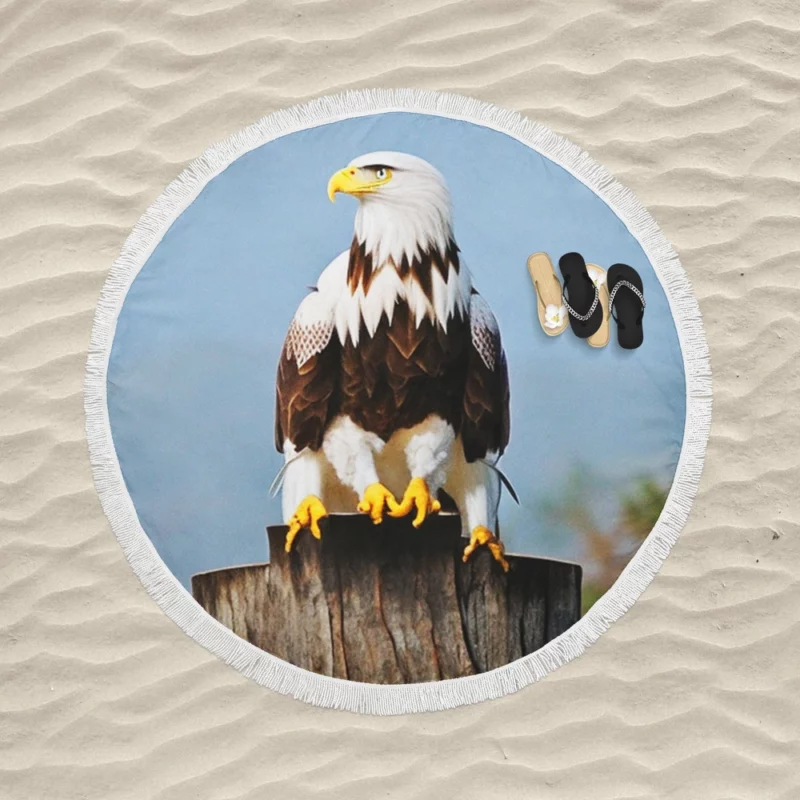 Stylish Eagle With Glasses Round Beach Towel