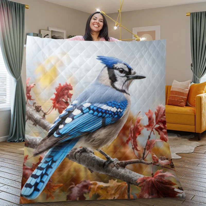 Vibrant Blue Jay Portrait Quilt Blanket