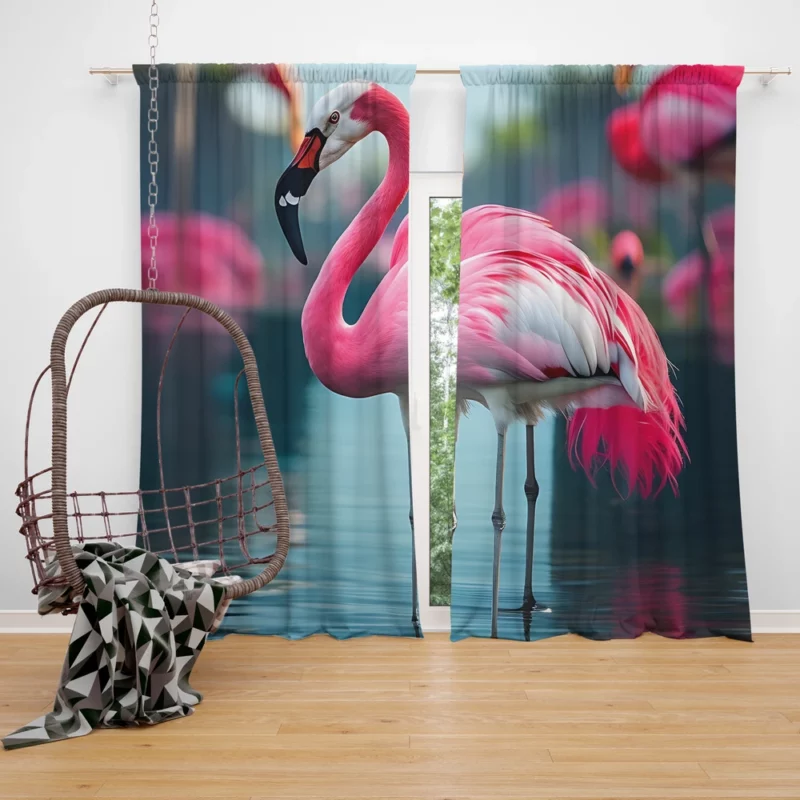 Vibrant Flamingo in Water Window Curtain