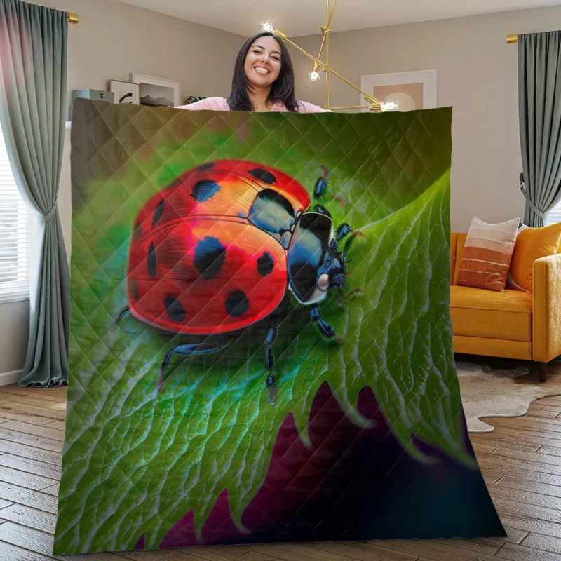 Vibrant Ladybug Illustration Quilt Blanket