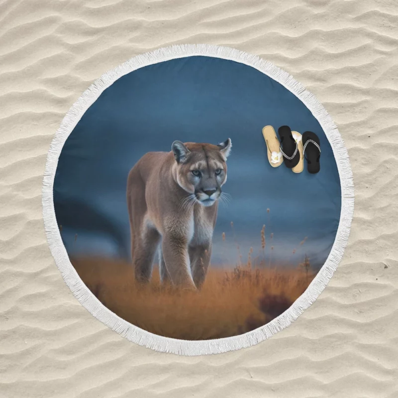 Wild Puma Photo Round Beach Towel