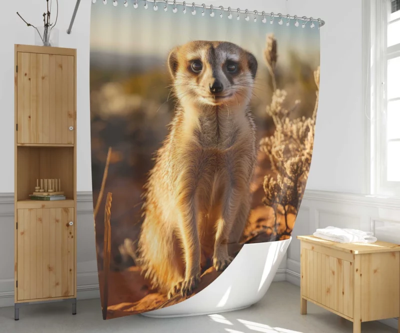 Alert Meerkat in the Grassland Shower Curtain 1