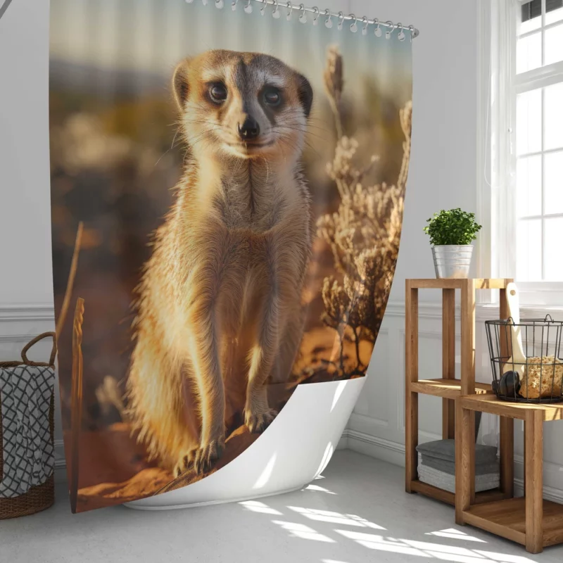 Alert Meerkat in the Grassland Shower Curtain