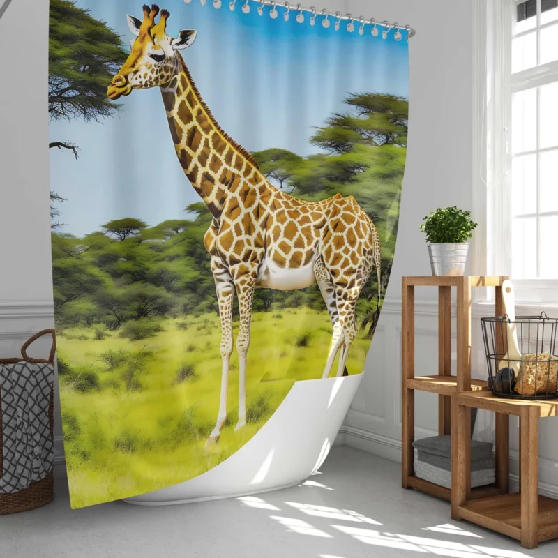 Animals at the Zoo Shower Curtain