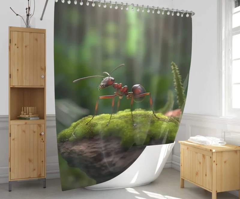 Ant on a Rock Shower Curtain 1