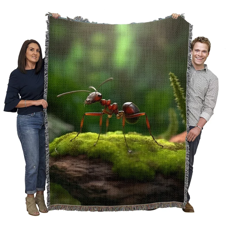 Ant on a Rock Woven Blanket
