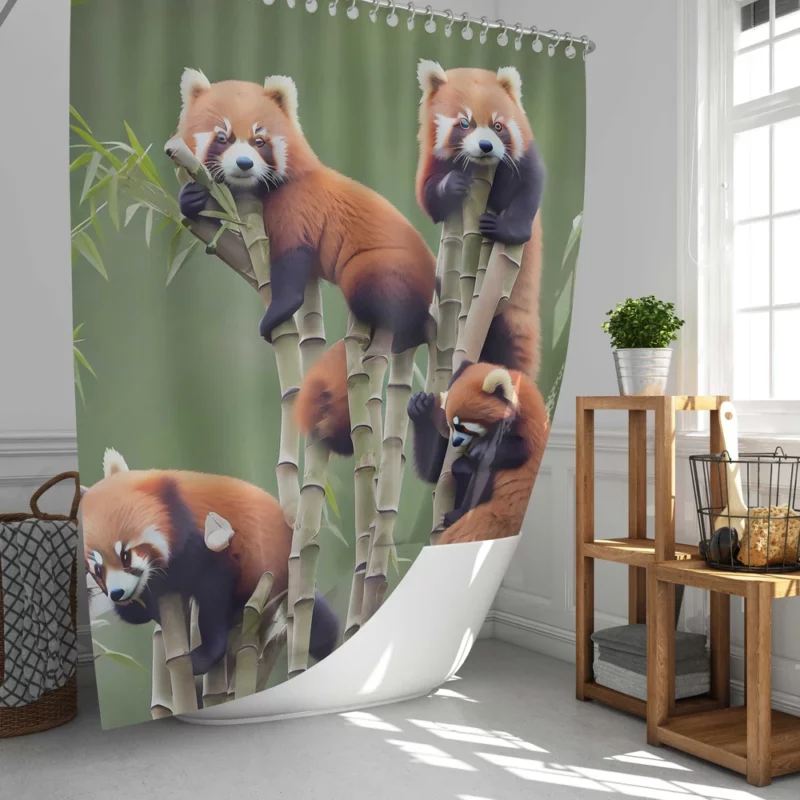 Bamboo Sharing Happy Red Panda Pair Shower Curtain