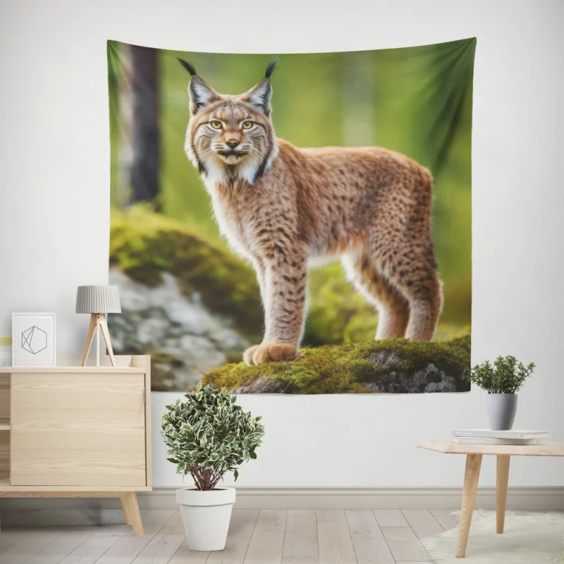 Beautiful Bobcat Artwork Wall Tapestry