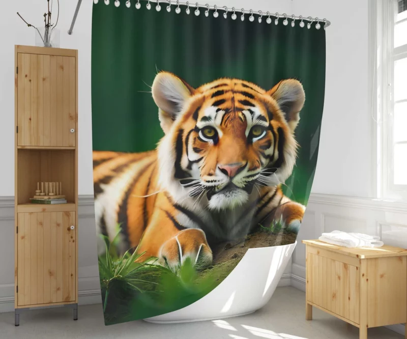 Bengal Tiger Laying in Grass Shower Curtain 1