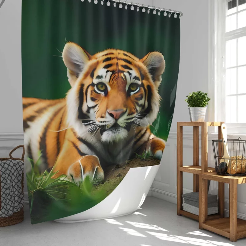 Bengal Tiger Laying in Grass Shower Curtain