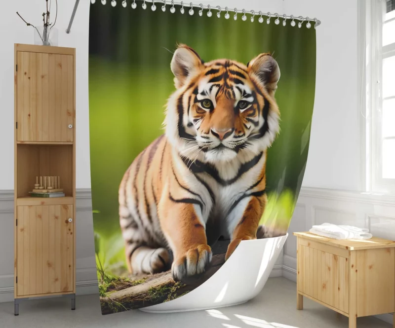 Bengal Tiger Sitting on Log Shower Curtain 1