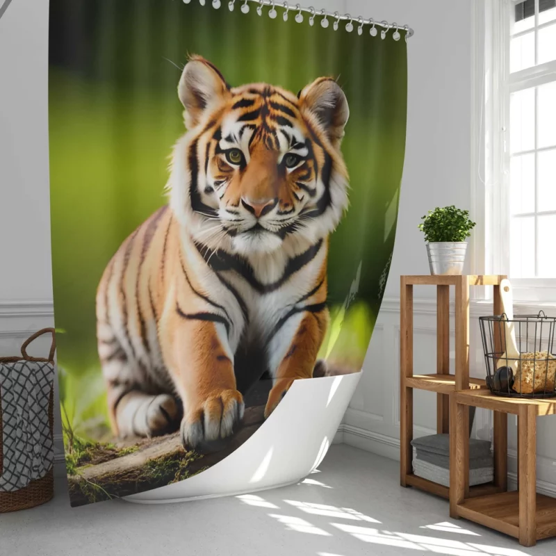 Bengal Tiger Sitting on Log Shower Curtain